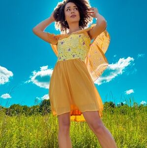 NWT RARE Her Universe Padme Meadow dress